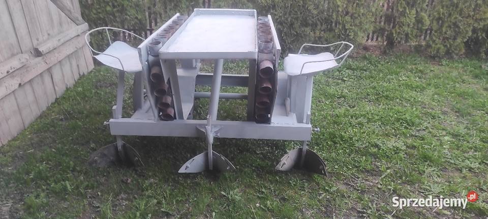 Sadzarka podkarpackie