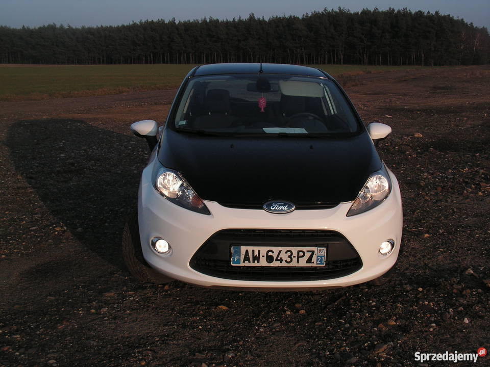 Ford Fiesta mk7 sport 14tdci BOGATA WERSJA Mosina
