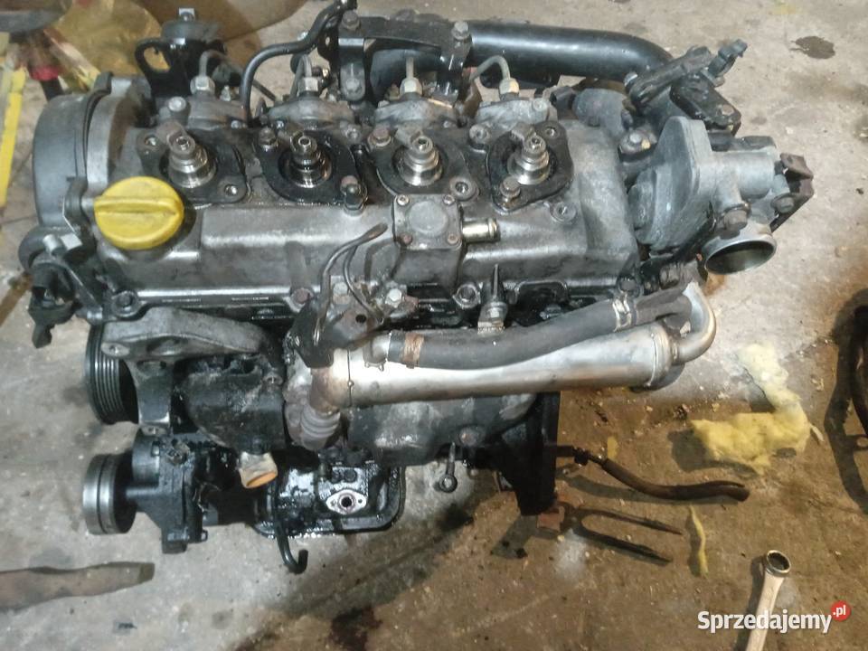 Opel Meriva osobowe świętokrzyskie Łopuszno
