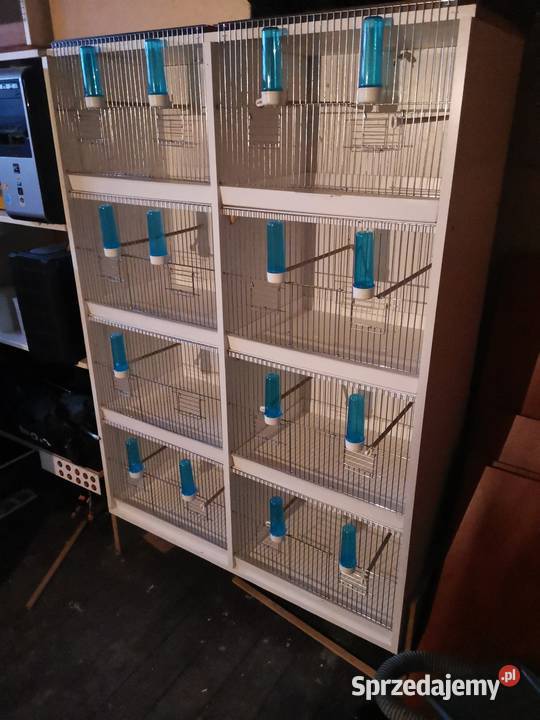 Klatki legowe małej egzityki Chorzów