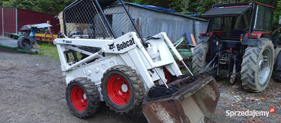Bobcat miniładowarka Kobielnik