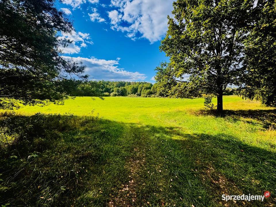 Wyjątkowa działka 242 ha wśród zieleni Cisza Drygały