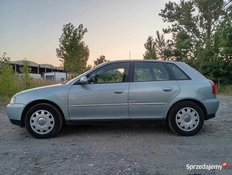 Audi A3 8L 16 MPI 102 5 Drzwi Częstochowa
