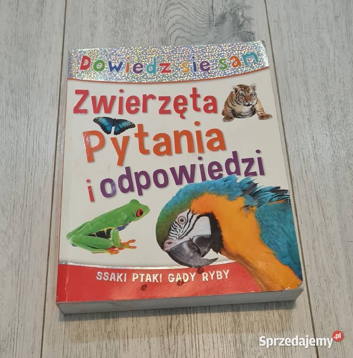 Książka Zwierzęta pytania i odpowiedzi miękka Łódź