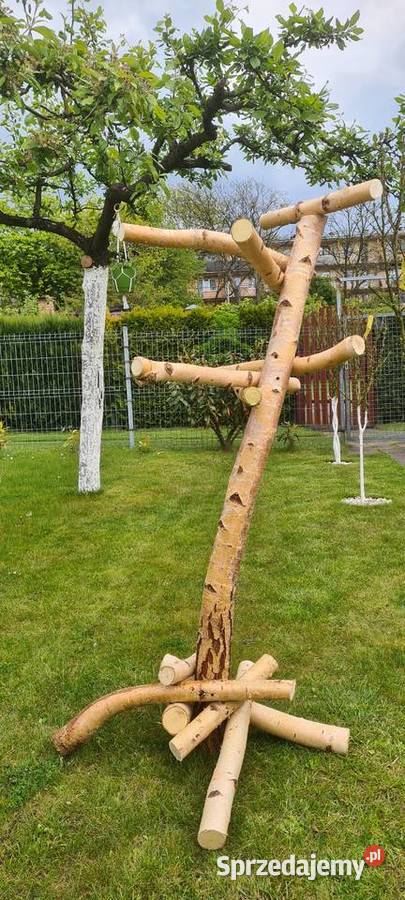 Stojak brzozowy większych papug Dla ptaków Ruda Śląska