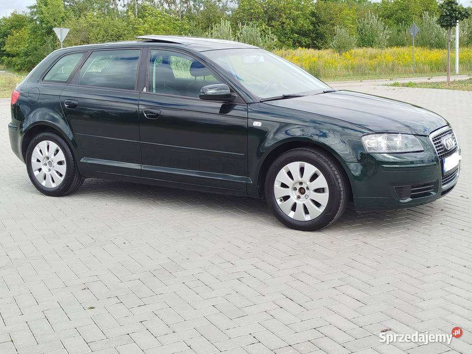 Audi a3 8p 16 Benzyna 2006 wersja 5 drzwi elektryczne lusterka Świdnik