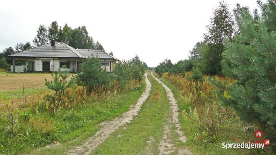 Grunt 10400m2 Zalesiany podlaskie