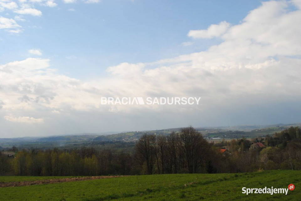 Grunt 5500m2 Gruszowiec Grunty i działki sprzedam