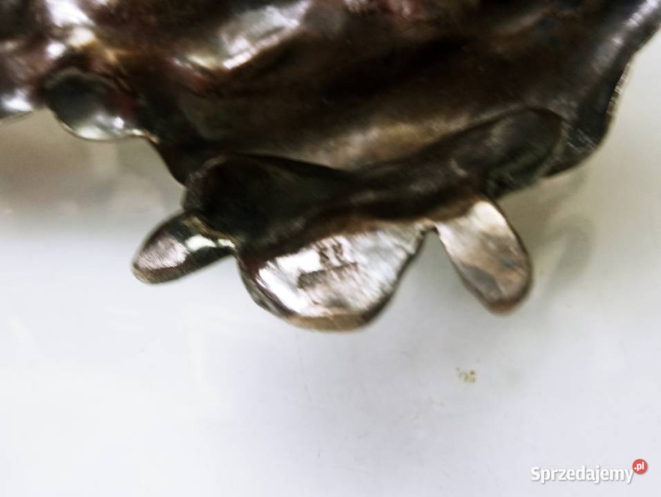 WMF Wizytownik Myśliwski lubuskie Nowa Sól