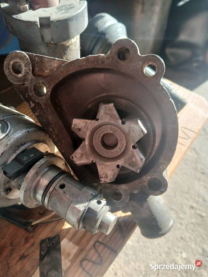 Mini moris 1000 Kielce