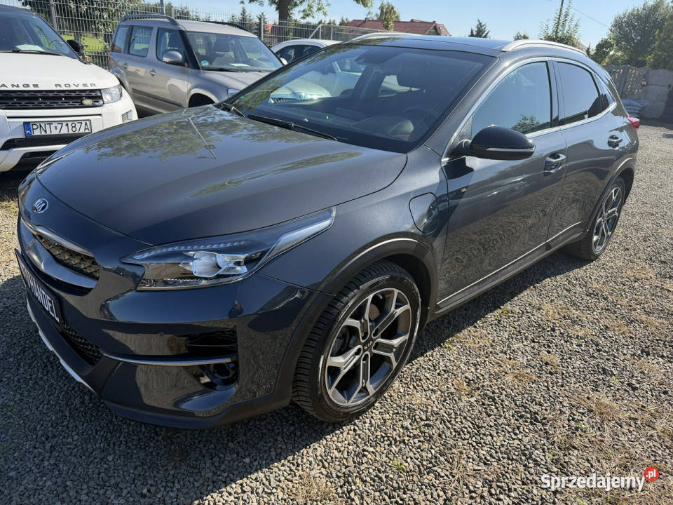 Kia XCeed plugin hybryd automat gwarancja 13 tempomat Kia wielkopolskie Zbąszyń
