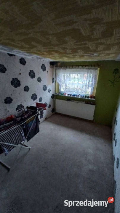 Sprzedam dom z działką budynki inwentarskie Sprzedaż