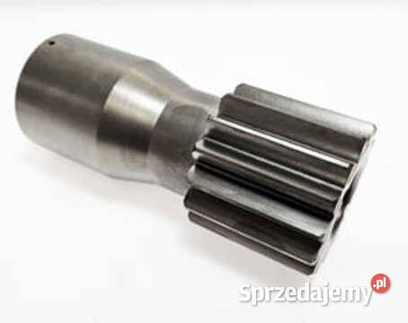 R324796 WALEK POLOSI Z15 Działyń