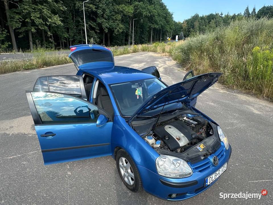 Volkswagen Golf V 2004 16 FSI 116 116KM dolnośląskie Zgorzelec