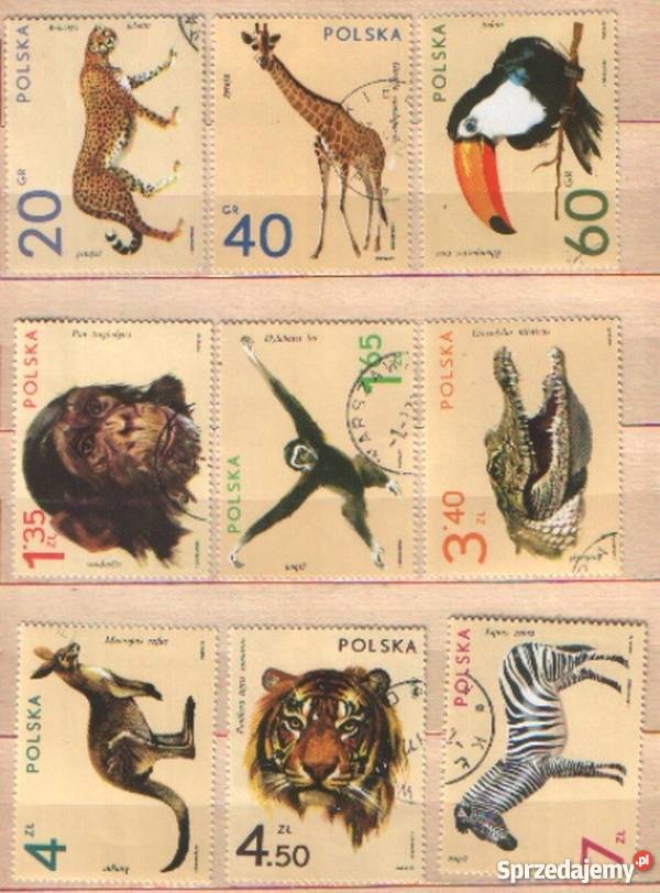 Zn.Fi 2015 - 23 kas 1972