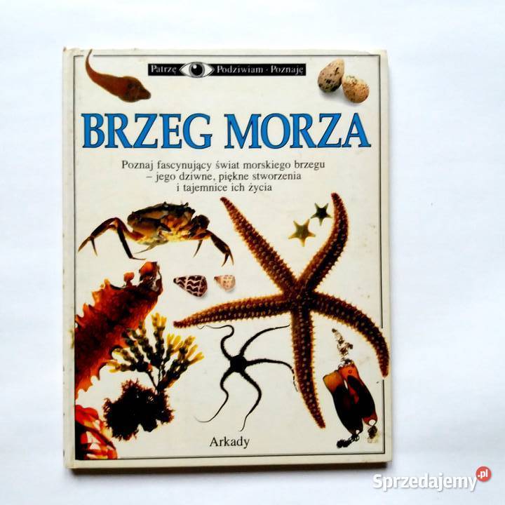 Steve Parker Brzeg morza Poznaj fascynujący biologia, ekologia Książki naukowe i popularnonaukowe Łódź