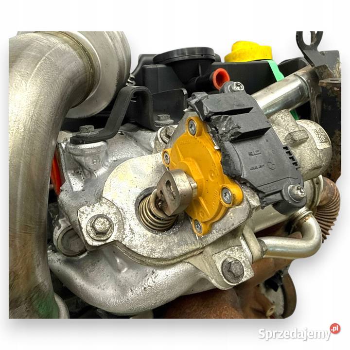 SILNIK K9K282 Nissan Qashqai J10 15 DCI 106 osobowe Silniki kompletne Chełm sprzedam