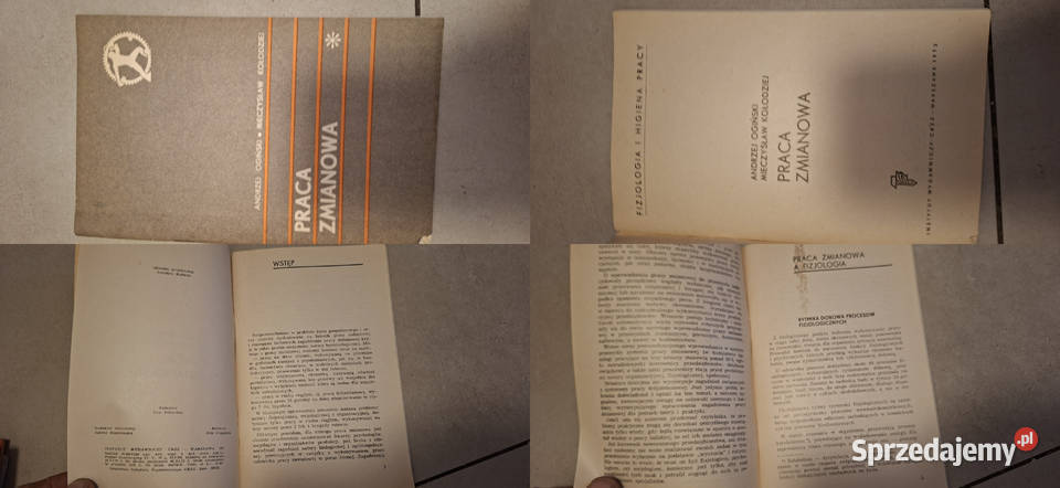 Praca zmianowa OGÓRSKI KOŁODZIEJ 1 wydanie 1973 Łęczyca