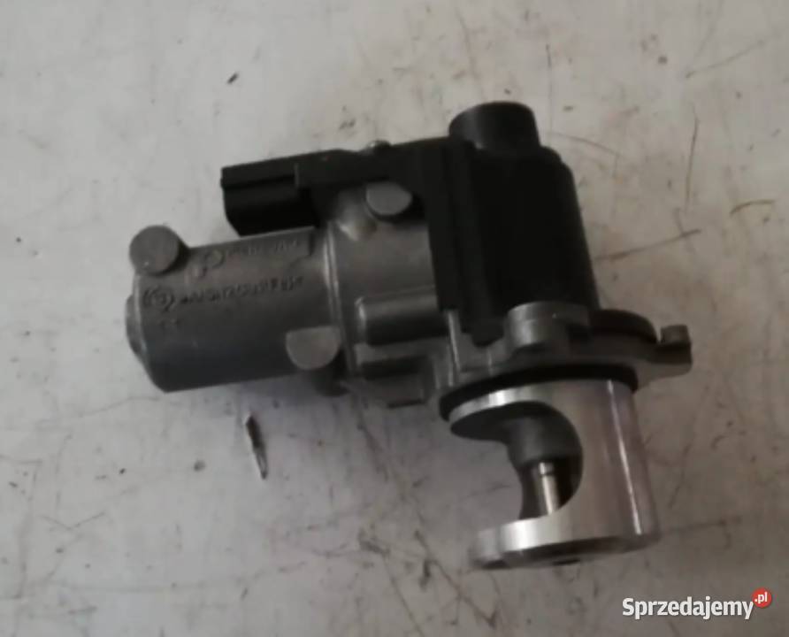 Zawór EGR VW 20 BTDI 03L131501Q świętokrzyskie
