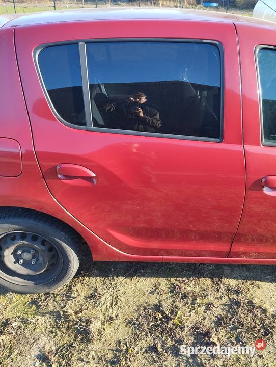 Drzwi Dacia Sandero II prawy tył TEB76 w kolor Łask