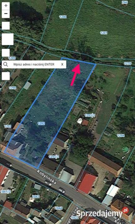 Kamienica dom z dużą działka zamieszkaj otwórz węglowe Krotoszyn sprzedam