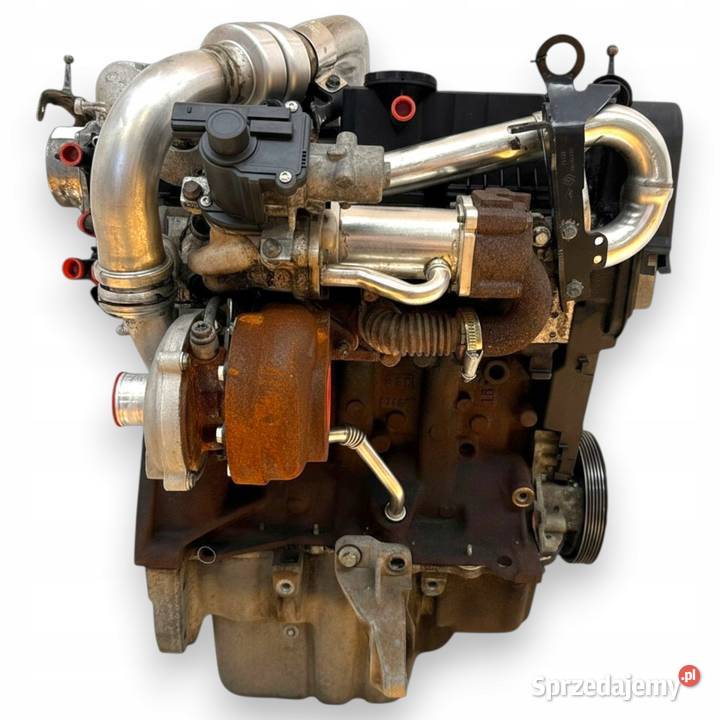 SILNIK K9K282 Nissan Qashqai J10 15 DCI 106 sprzedam