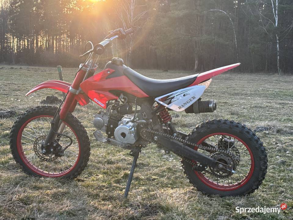 Chiński cross podlaskie Brześcianka