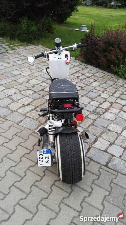 Custom honda zoomer ruckus