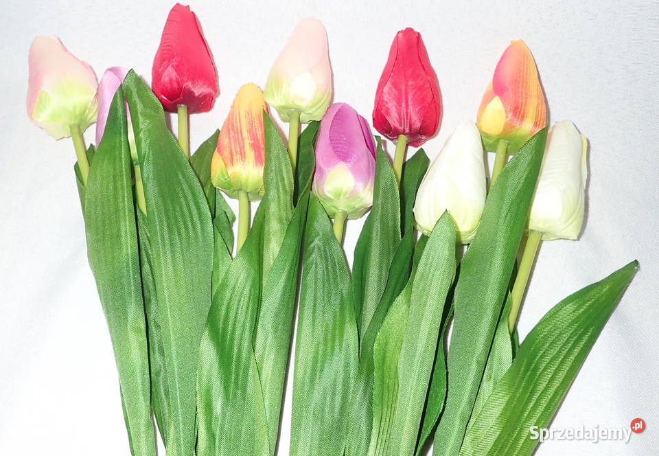 Tulipan sztuczny realistyczny do bukietów 49 Siewierz