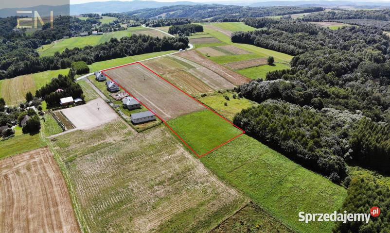 Ogłoszenie grunt Niewodna 14000m2