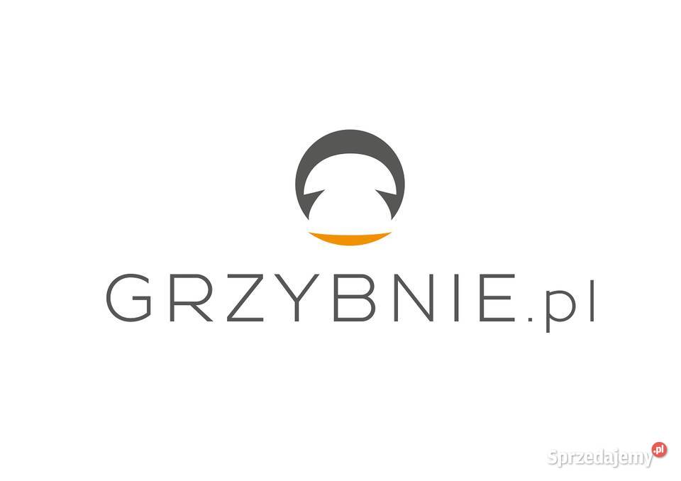 Grzybnia Borowik Szlachetny Grzyby w Ogrodzie warmińsko-mazurskie Elbląg