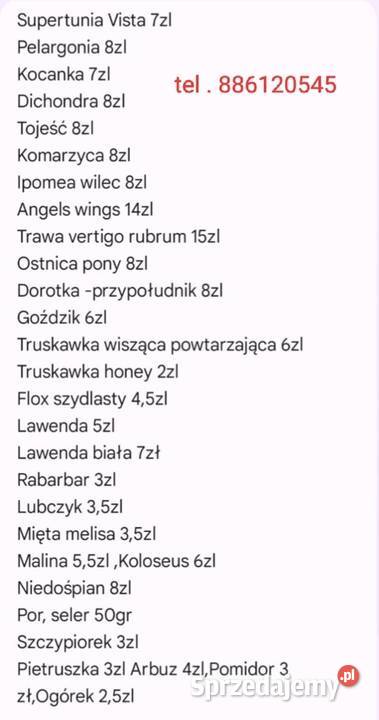 Mięta pieprzowa mieta cytrynowa z przesyłką sprzedam