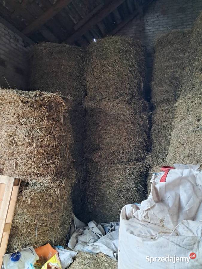Słoma i siano w belach Ułęż sprzedam