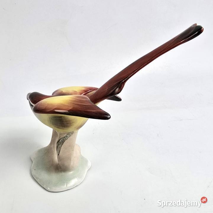 Ptak Miodojad Klary Garbera Aquincum Budapeszt mazowieckie Bronisze