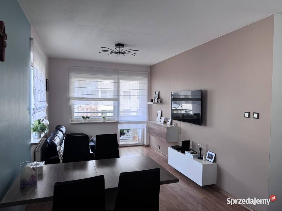 mieszkanie do wynajęcia Chełm