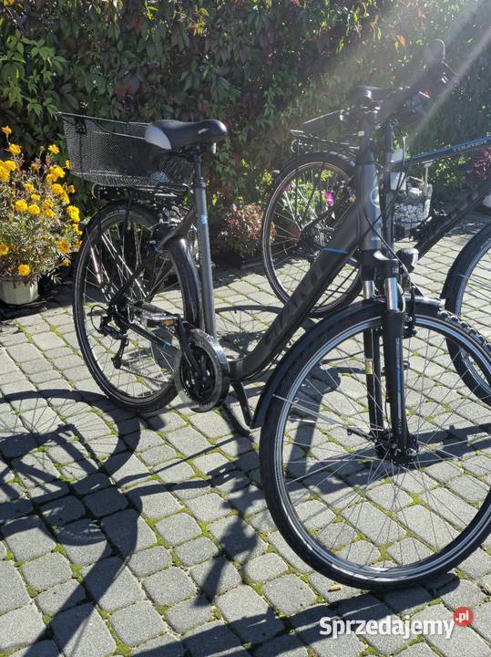 Rower miejski Giant Tourer 28 Miejskie śląskie Złoty Potok