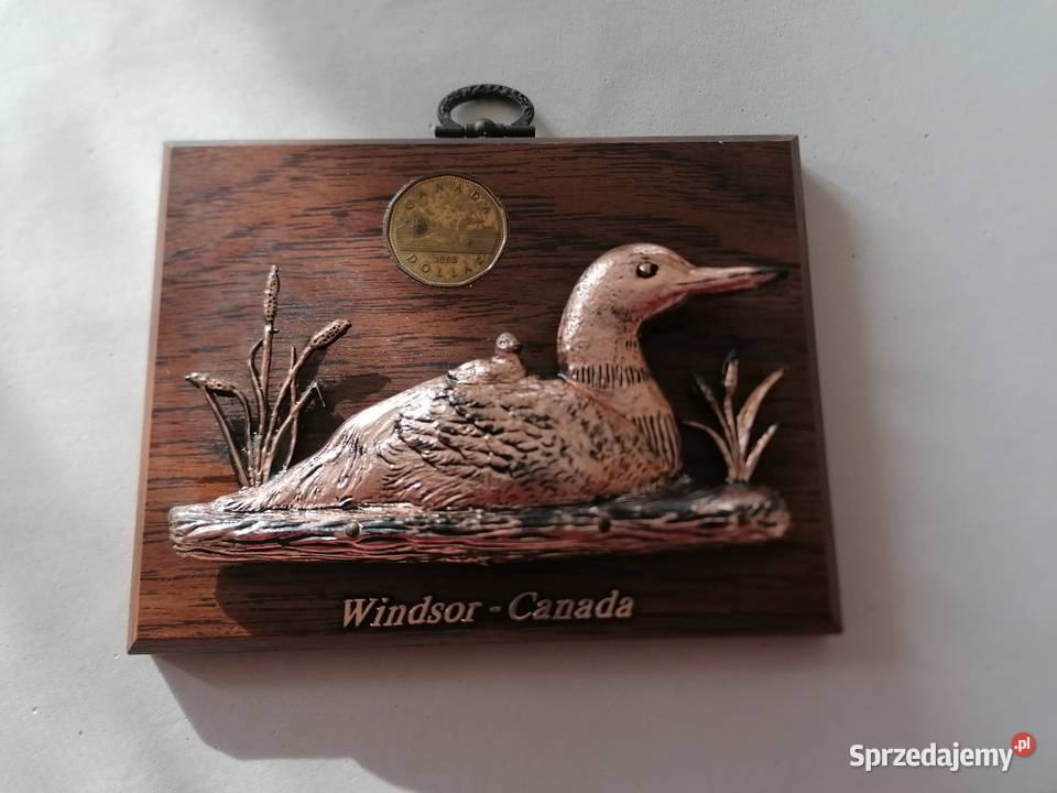 Obraz płaskorzeźba kaczki Windsor Canada Łódź