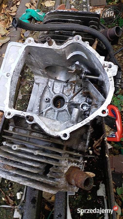 Blok silnika BriggsStratton Bokser2 cylindry Gorzów Wielkopolski sprzedam