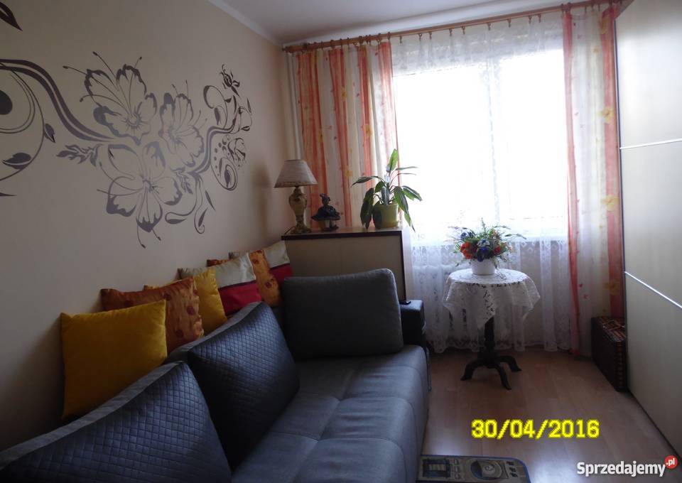 Mieszkanie 684 m2 gaj Orzechowa Piętro 1 Nieruchomości Wrocław