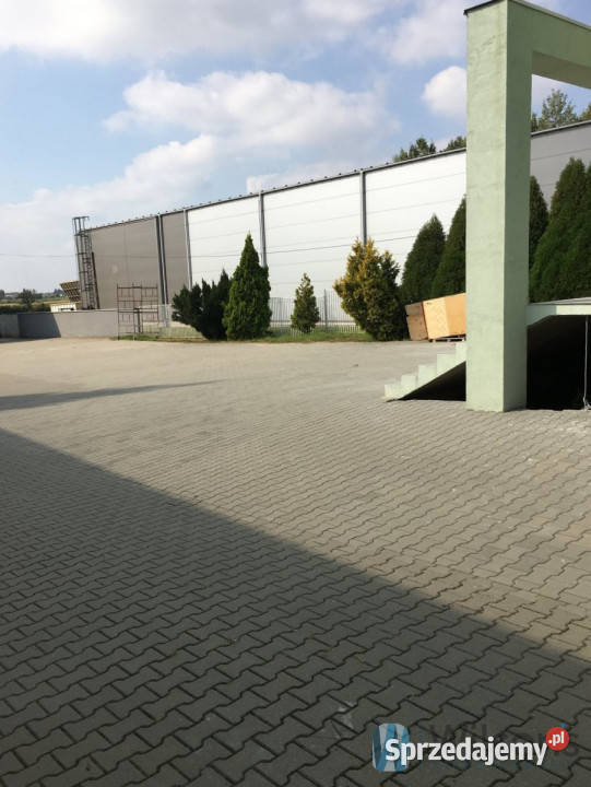 Lokal 1200m2 Warszawa Baletowa 1200m2 mazowieckie