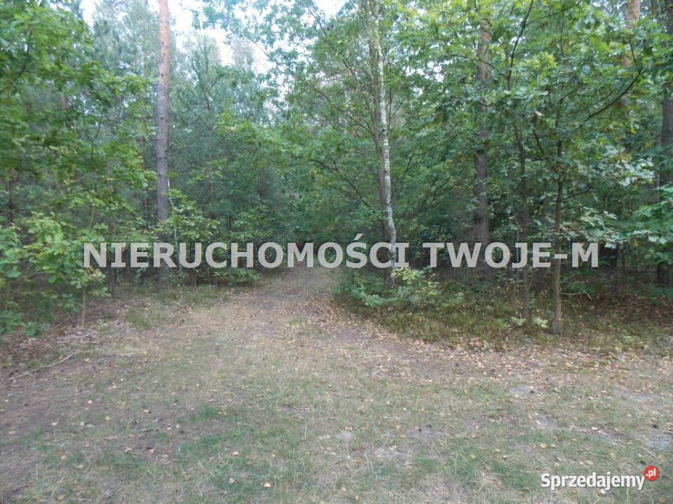 grunt 1530m2 Ostrowiec Świętokrzyski 65m świętokrzyskie