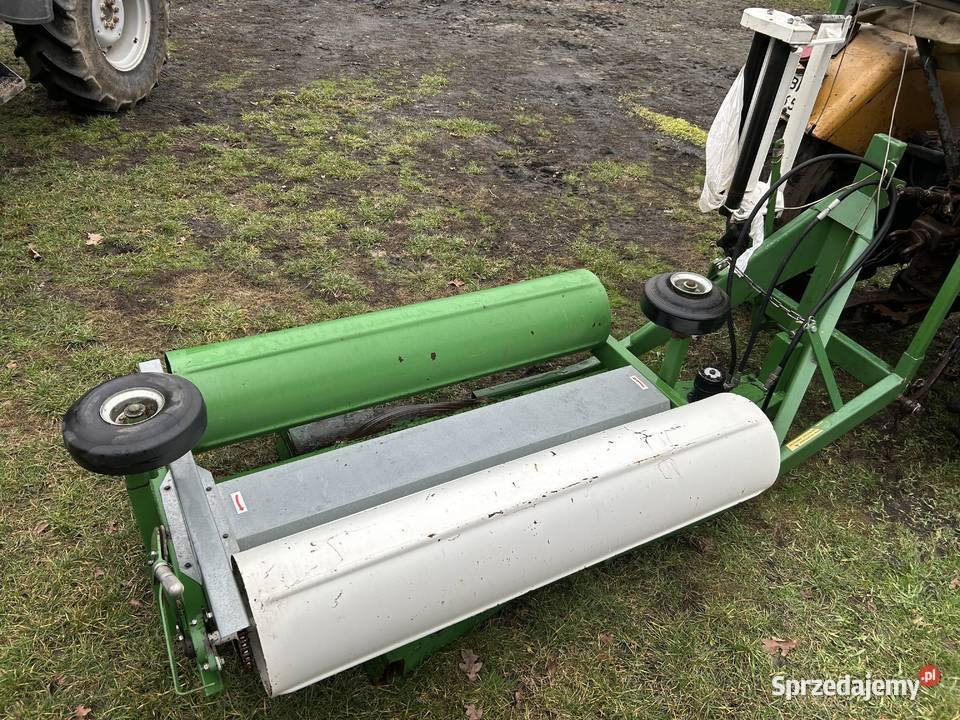 Owijarka sipma tekla Dąbrowa-Dołęgi