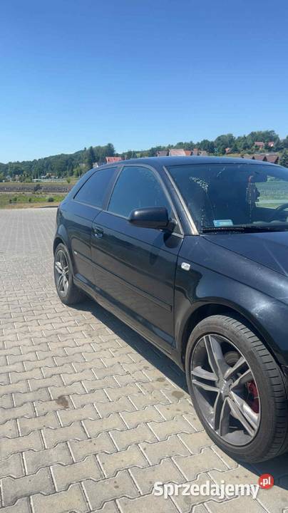 Audi S3 20 TDI 2006 Gródek nad Dunajcem sprzedam