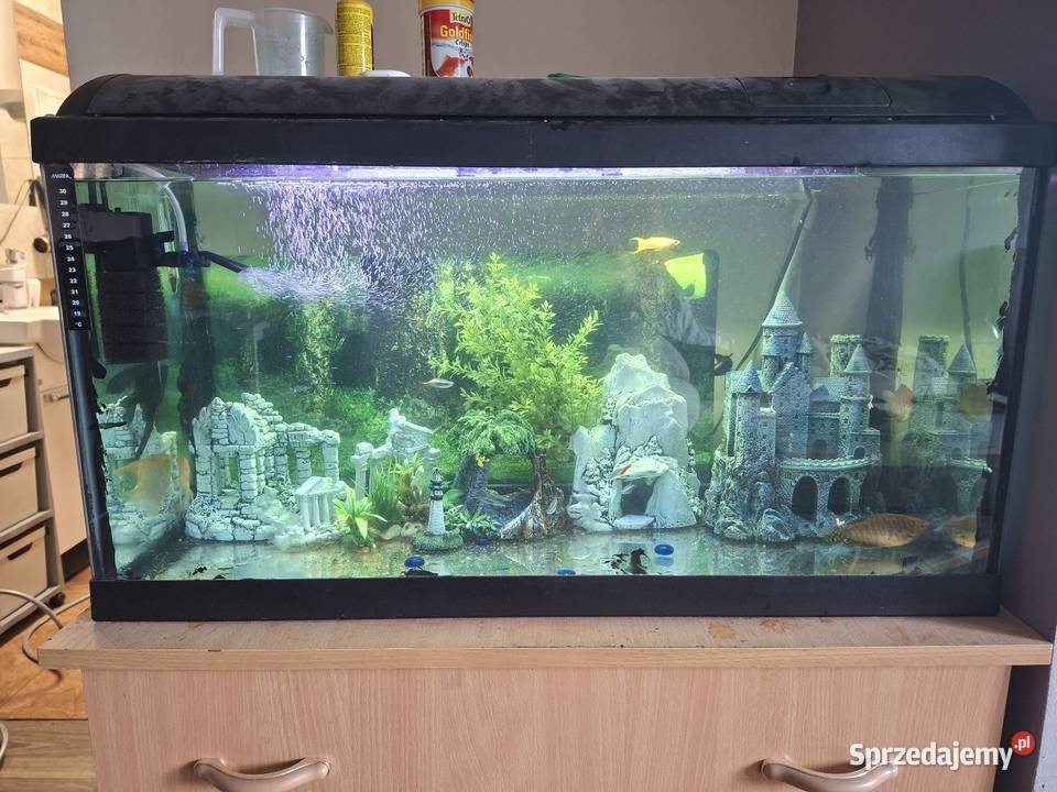 Sprzedam akwarium Nowy Targ