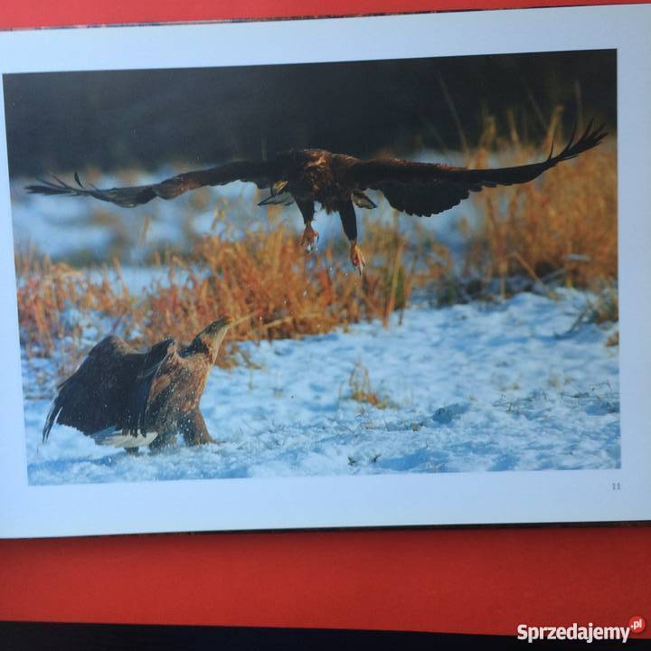 1087 Zachodniopomorskie Perły Przyrody Szczecin sprzedam