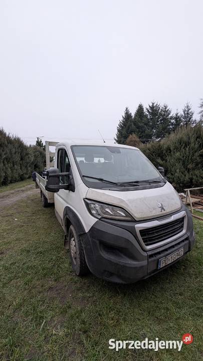 Syndyk sprzeda Peugeot BOXER z 2018 121700km wielkopolskie Luboń