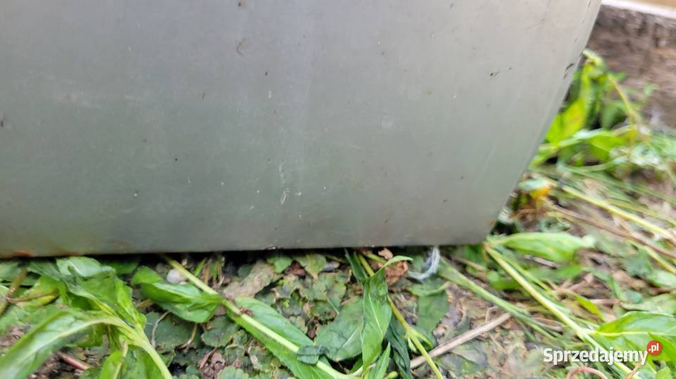 Drzwi Renault Kangoo I mazowieckie Łagów