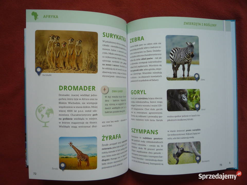 NOWA Encyklopedia kontynentów Kultura przyroda Szczecin