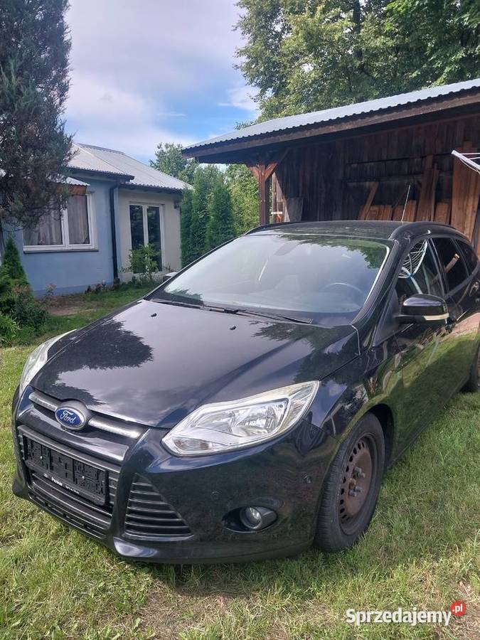 Ford Focus Osinki