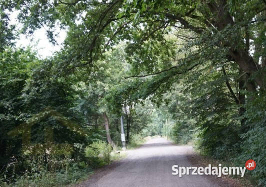 Działka gruntowa w Otwocku Wielkim pałacem 118m Otwock Wielki